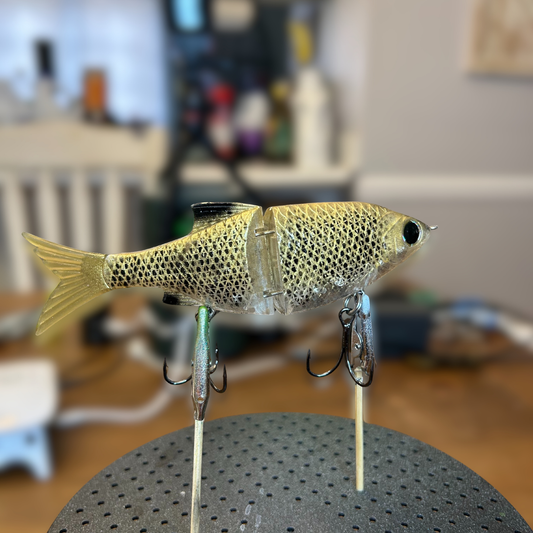 5.25" Golden Shiner Glidebait